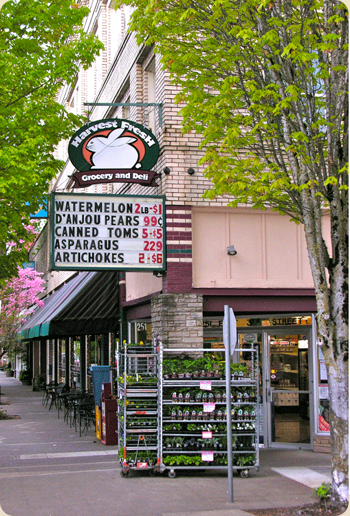 Harvest Fresh Grocery is just across the street