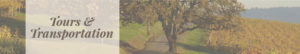 Tours & Transportation | 3rd Street Flats