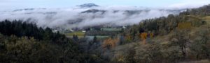 Explore Yamhill Valley • 3rd Street Flats