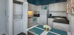 Flat 9 Kitchen • 3rd Street Flats
