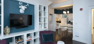 Flat 9 Living Area with TV • 3rd Street Flats