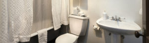 Bathroom in Flat #2 at Third Street Flats