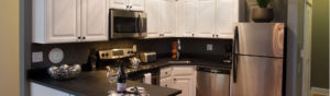 Kitchen in Flat #5 at Third Street Flats